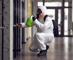 Eveleth, MN Mold Removal Services Company